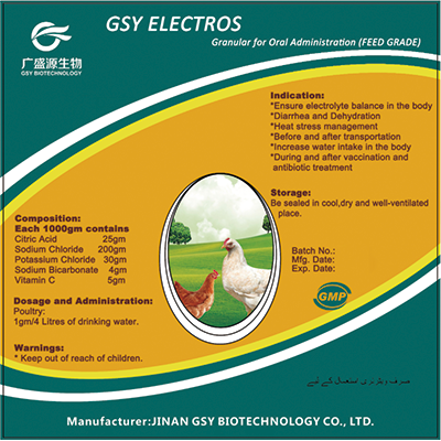 GSY ELECTROS