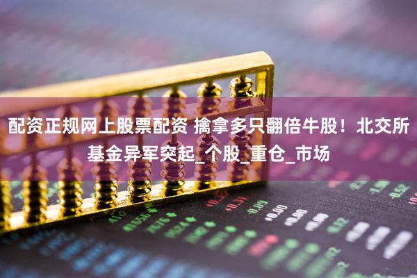 配资正规网上股票配资 擒拿多只翻倍牛股！北交所基金异军突起_个股_重仓_市场