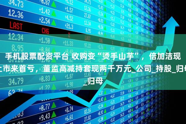 手机股票配资平台 收购变“烫手山芋”，倍加洁现上市来首亏，董监高减持套现两千万元_公司_持股_归母